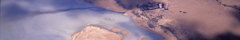 UNESCO-Weltkulturerbe-Pfahlbauten. Fundstelle Wollmatingen-Langenrain; Luftbild: Otto Braasch