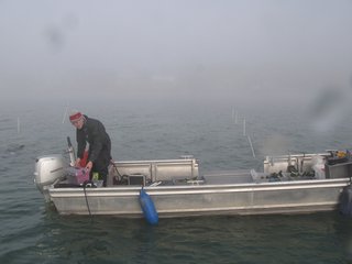 Arbeitsboot vor ausgesteckten Sondierungsflächen in winterlichem Ambiente.