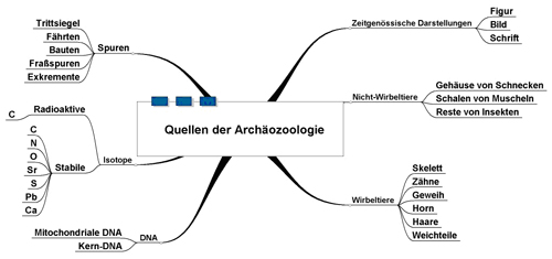Archaeozoologie